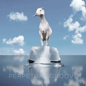Perpetual Groove 1x1 1