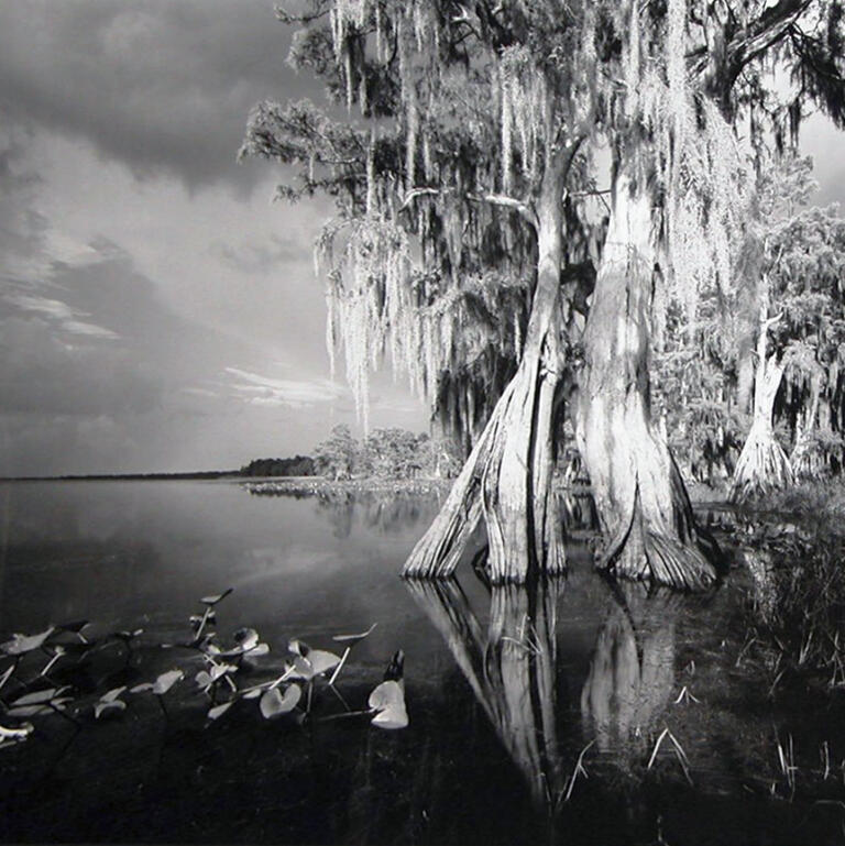 Visions of Florida: The Photographic Art of Clyde Butcher | Key West ...