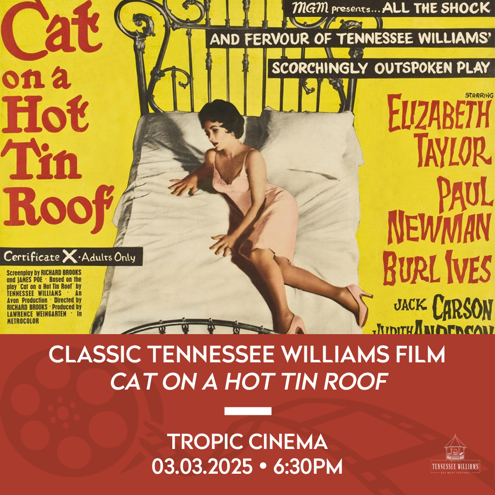 Film_CatRoof